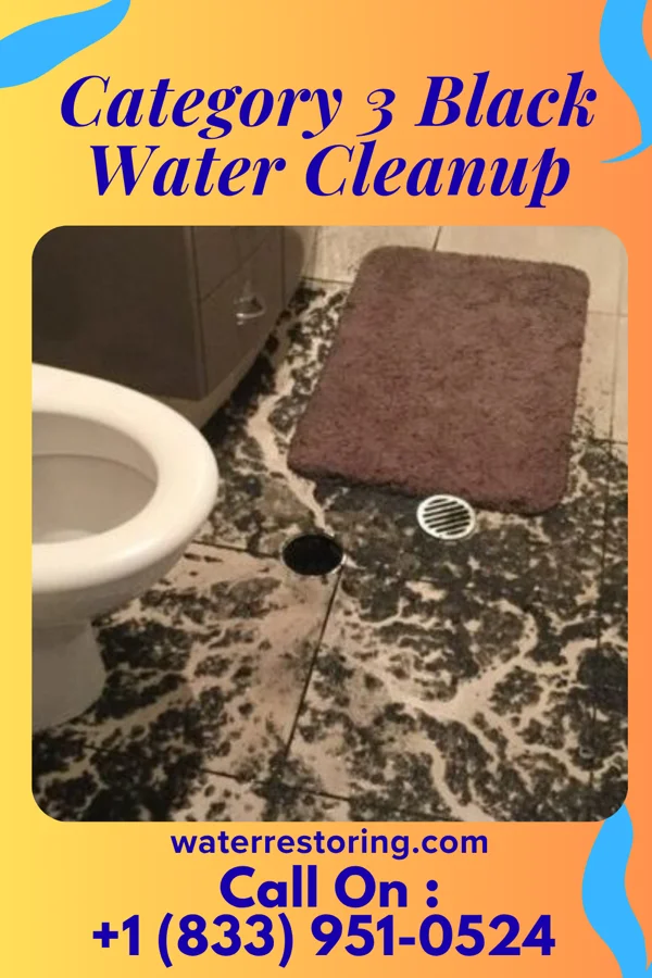 Category 3 Black Water Cleanup in West Monroe, LA