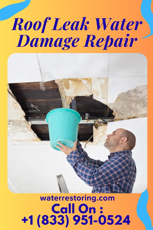 Roof Leak Water Damage Repair in West Monroe, LA