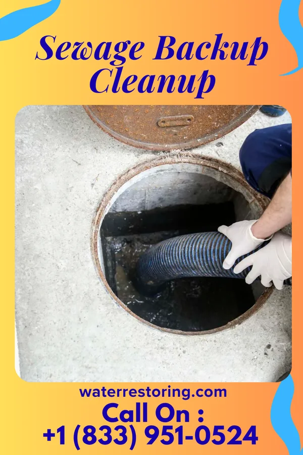 Sewage Backup Cleanup in West Monroe, LA